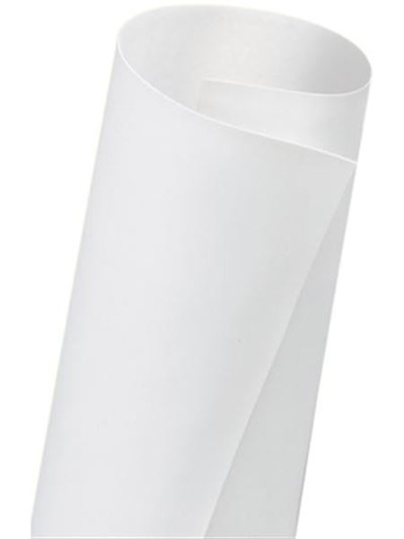 Dicor DFII85D35 - DiFlex II™ TPO Dove Roof Membrane (8.5'W x 35'L)