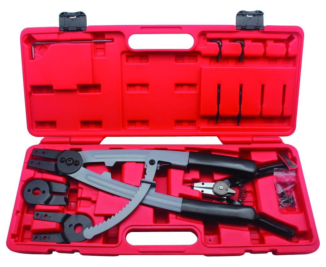 Rodac Rdcp1608-Circlip Plier Tool Set 16" + 8"