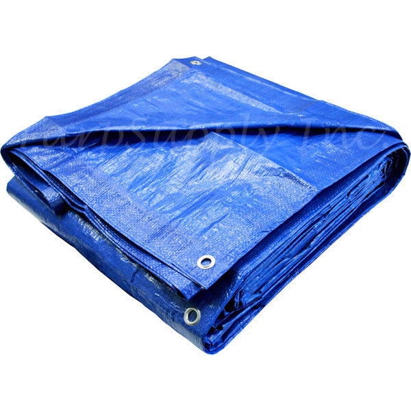 All Purpose Blue Tarp 10' X 12'